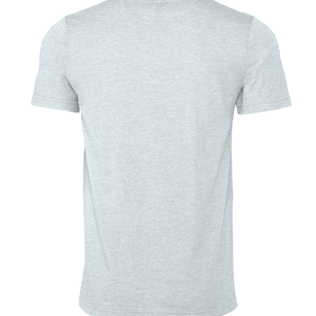 Heather Prism Ice Blue - 3001CVC - BACK