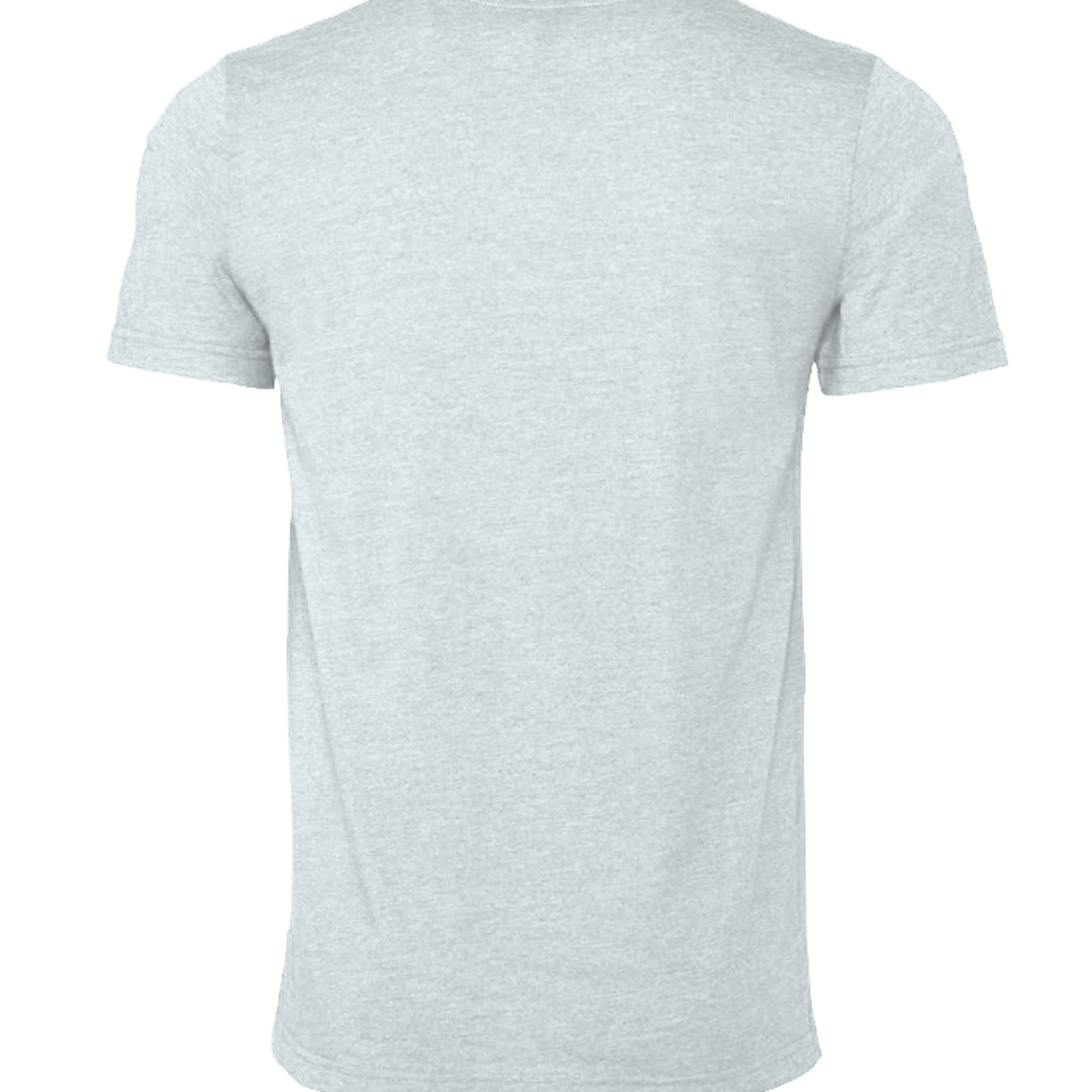 Heather Prism Ice Blue - 3001CVC - BACK